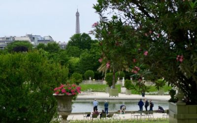 Déjeuner sur l’herbe